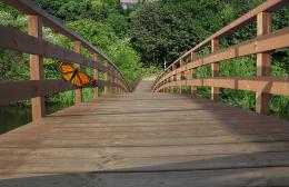 The wooden bridge park